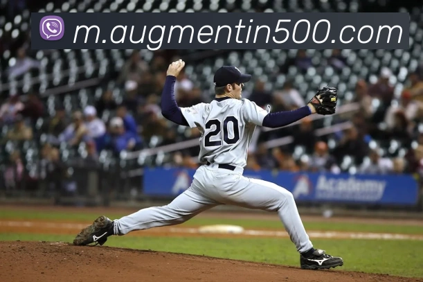 500彩票平台生态图